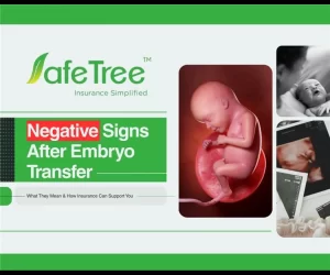 Negative signs after embryo transfer
