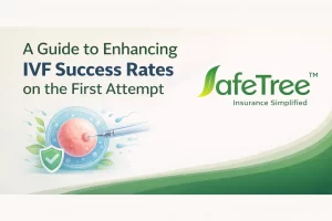 Make IVF Successful the First Time