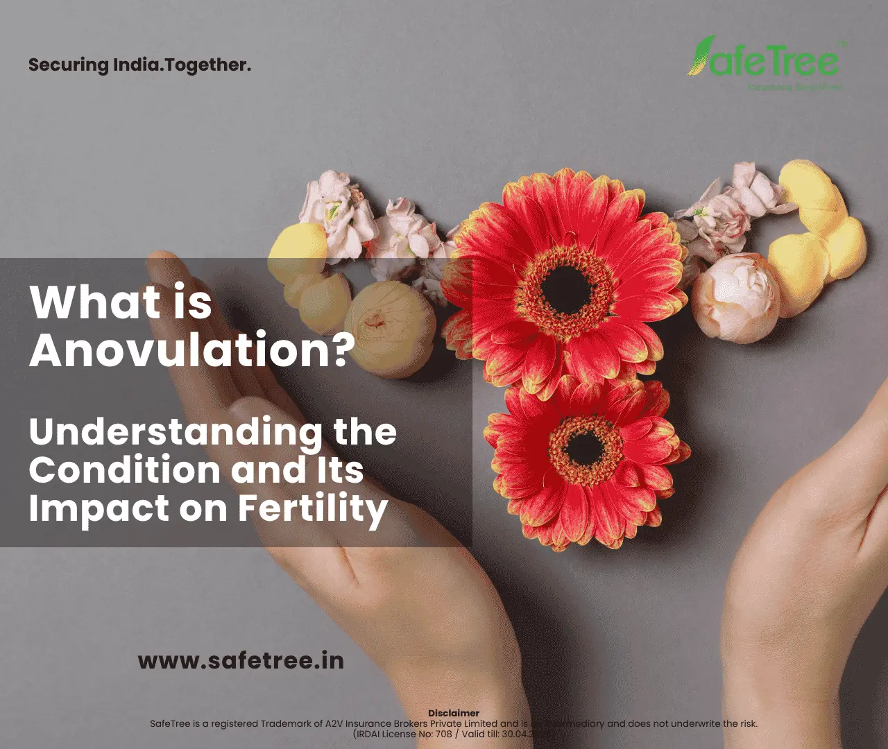 What is Anovulation