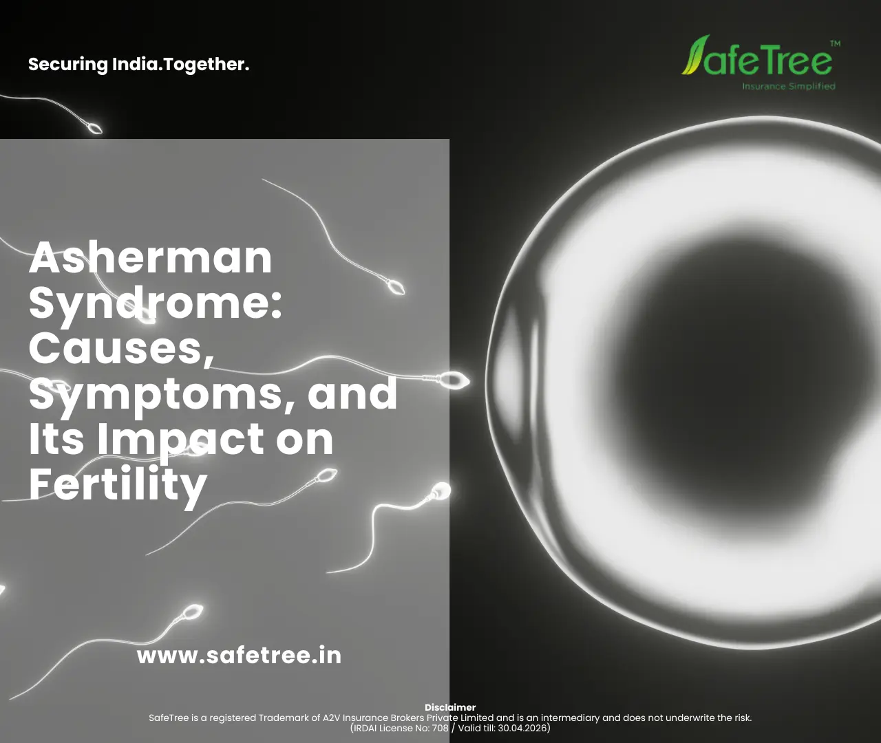 Asherman Syndrome